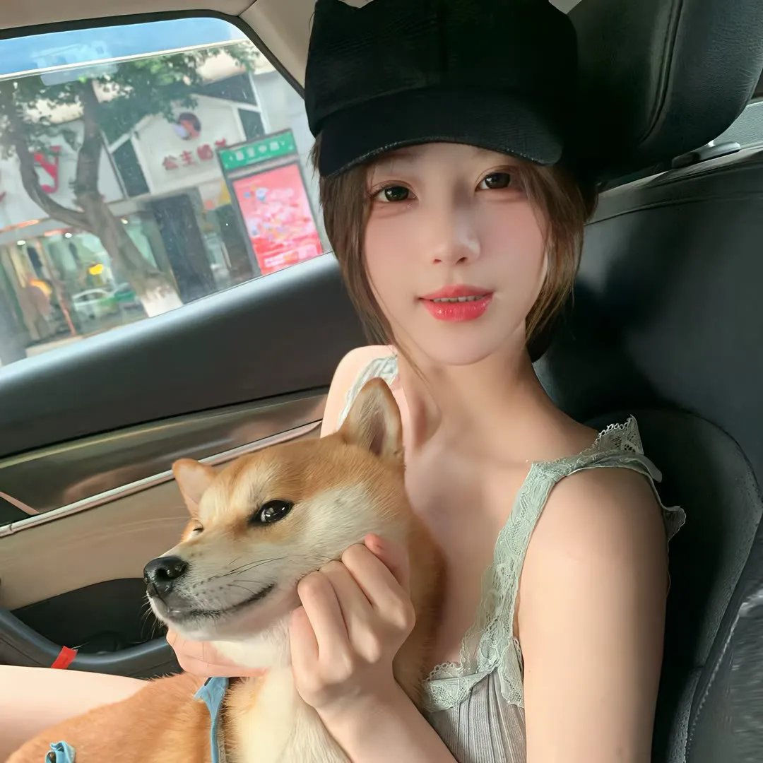 侠盗正传